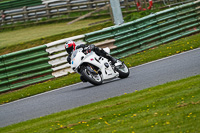 enduro-digital-images;event-digital-images;eventdigitalimages;mallory-park;mallory-park-photographs;mallory-park-trackday;mallory-park-trackday-photographs;no-limits-trackdays;peter-wileman-photography;racing-digital-images;trackday-digital-images;trackday-photos